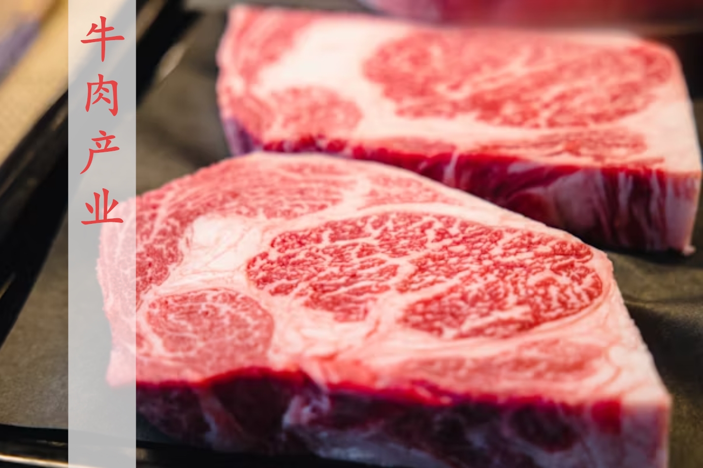 肉牛行業(yè)半年激變！2025年肉牛市場(chǎng)回顧和展望